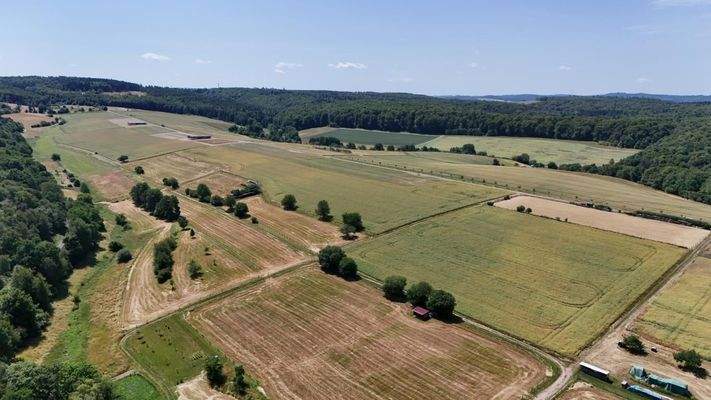 Übersicht über die Felder