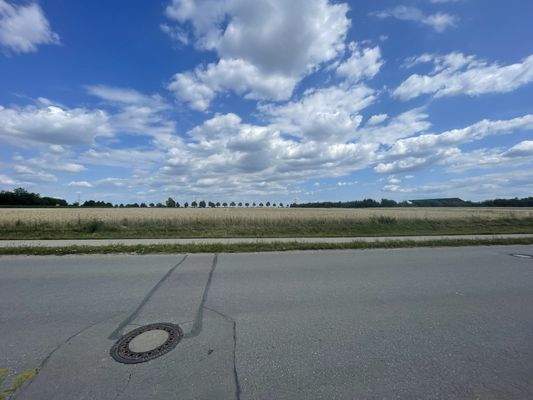 Blick nach Osten - hier entsteht die Grundstücksfläche