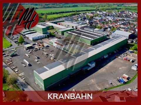 Gründau Halle, Gründau Hallenfläche