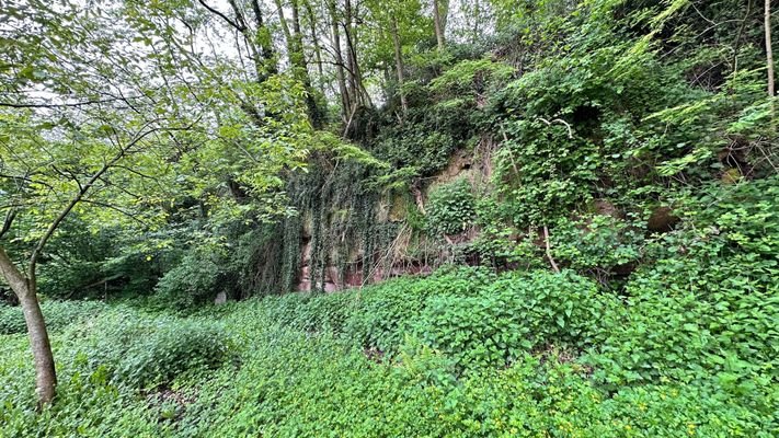 Felswand mit Bunkeranlage