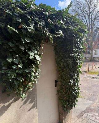 Zugang Hinterhof (2).jpg