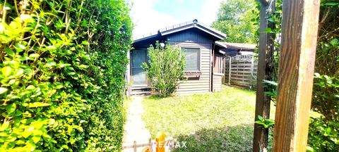 Andau Häuser, Andau Haus kaufen