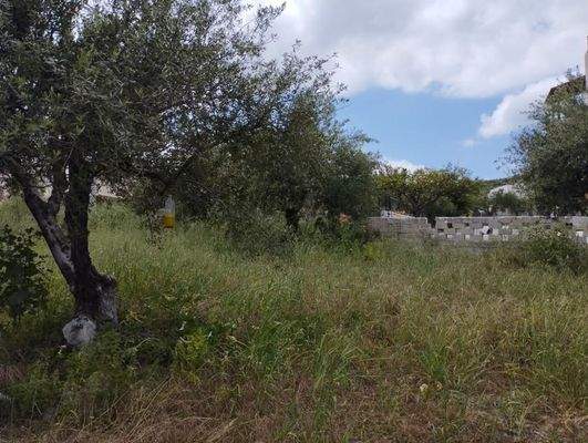 Kreta, Kalyves: Erstaunliches Grundstück im Zentrum von Kalyves zum Verkauf