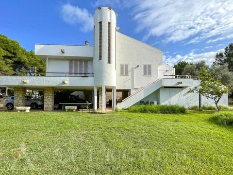 Alcúdia Häuser, Alcúdia Haus kaufen