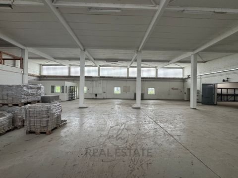 Barsbüttel Halle, Barsbüttel Hallenfläche