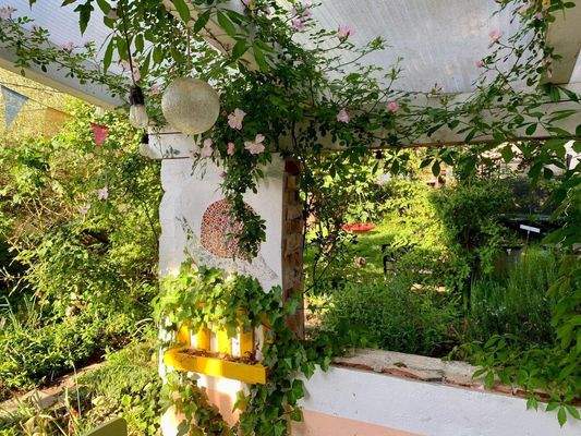 Überdachte, idyllische Terrasse