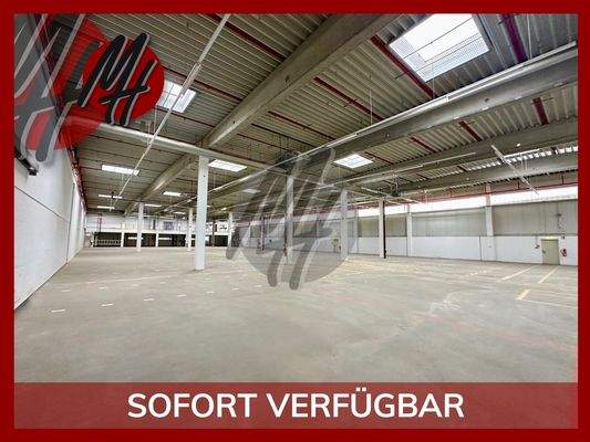 INFOS UNTER: 06171-586000