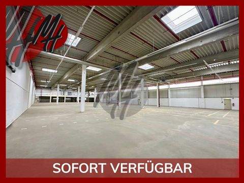 Obertshausen Halle, Obertshausen Hallenfläche