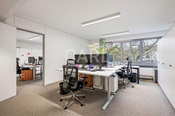 Weinstraße_20260221_28