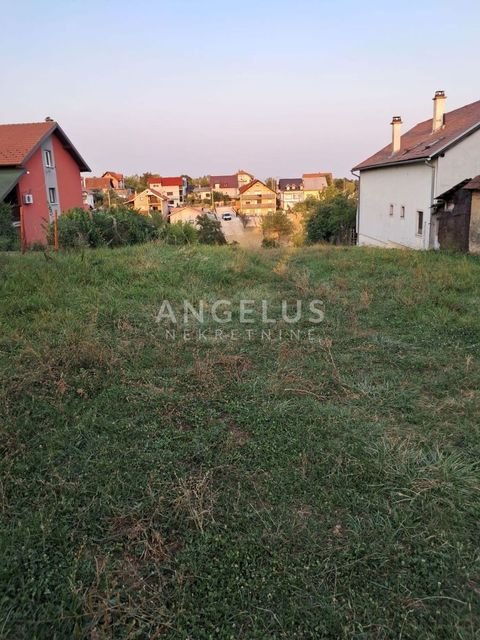 Gornja Dubrava Bauernhöfe, Landwirtschaft, Gornja Dubrava Forstwirtschaft