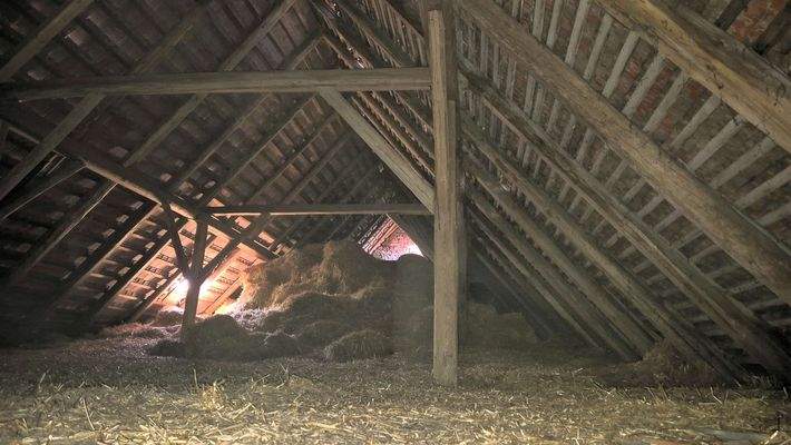 EFH_Siebigerode_Hauptstraße 26_07.jpg