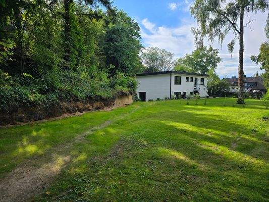 Maison Immobilien Bungalow Buchholz Ansicht Seite Eingang