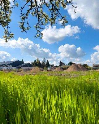 Grundstück - ehemalige Obstwiese