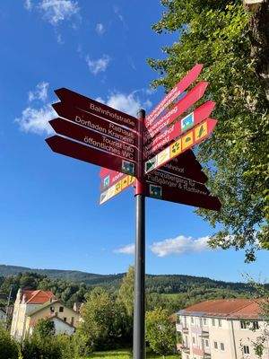 WhatsApp Image 2025-09-12 at 01.56.58.jpeg