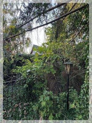 bebaut mit abrissfähigem Bungalow