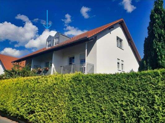 Objektansicht Rückseite