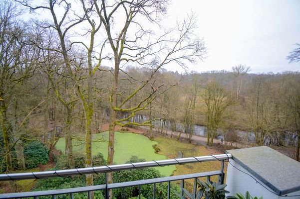 Blick von dem Balkon in das Grüne / auf die Alster