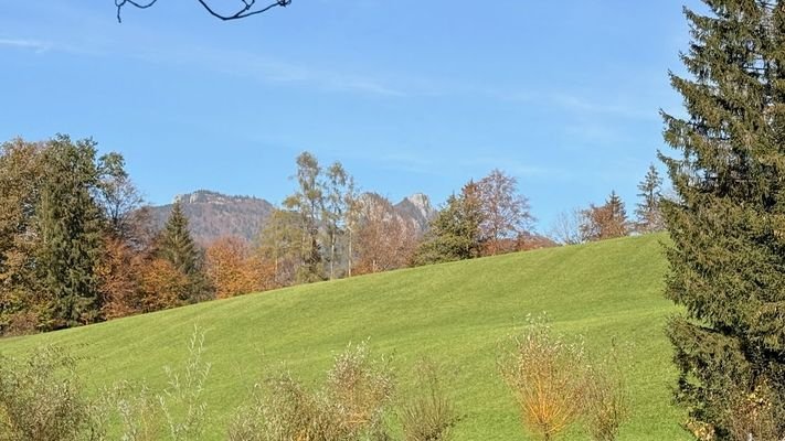 Blick zum Schafberg