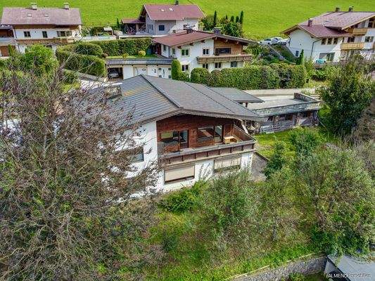 Sonniges ruhiges Grundstück mit Altbestand (5)