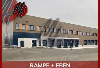 INFOS UNTER: 06171-586000