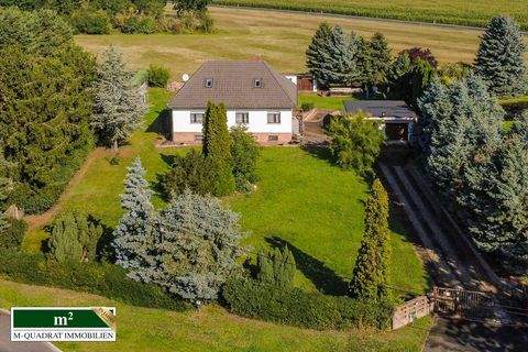 Treuenbrietzen Häuser, Treuenbrietzen Haus kaufen