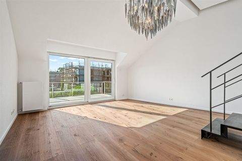 Radolfzell am Bodensee Wohnungen, Radolfzell am Bodensee Wohnung kaufen