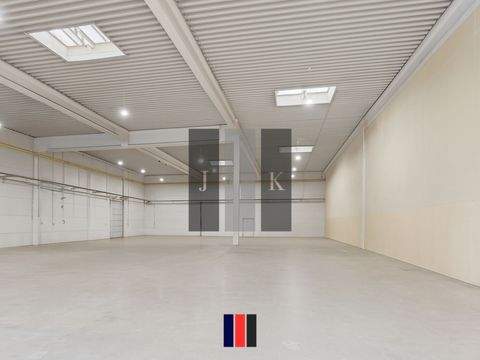 Ahrensburg Halle, Ahrensburg Hallenfläche