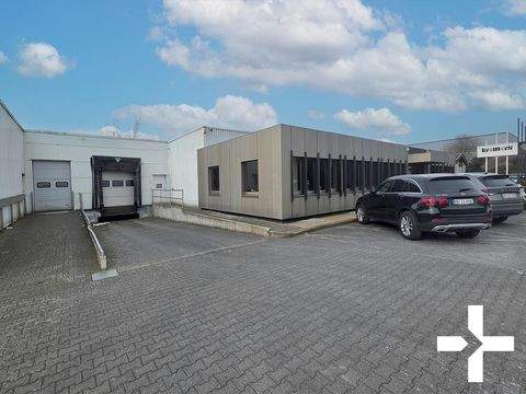 Mönchengladbach Halle, Mönchengladbach Hallenfläche