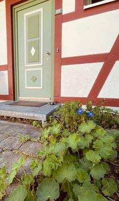 schöne Eingangstür