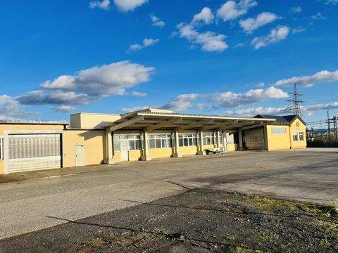 Haßfurt Halle, Haßfurt Hallenfläche