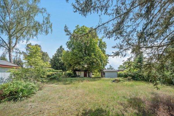 Blick auf den vorderen Grundstücksteil