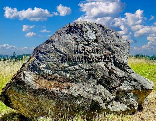Großer Findling als Hofstein