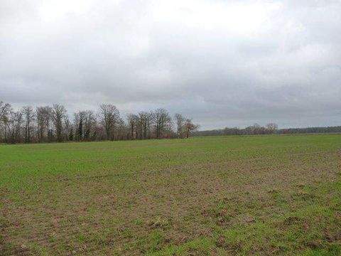 Badbergen Häuser, Badbergen Haus kaufen