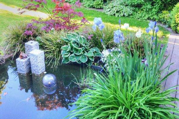 REH-Junoring-Gartenteich