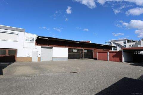 Gifhorn Halle, Gifhorn Hallenfläche