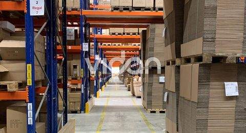 Troisdorf Halle, Troisdorf Hallenfläche