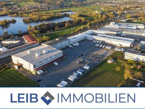 Lichtenfels Halle, Lichtenfels Hallenfläche