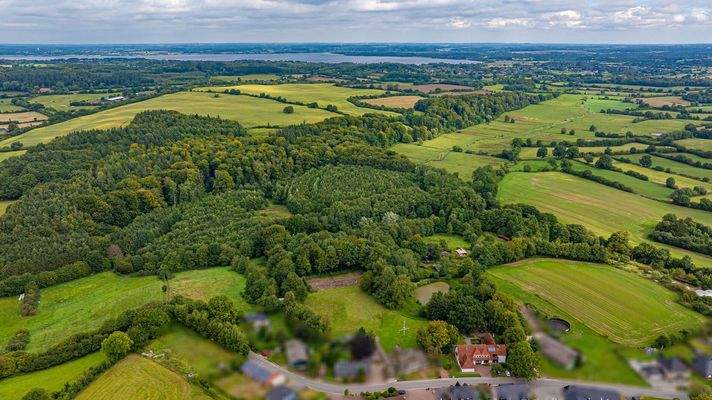 Feldrandlage in Ostseenähe