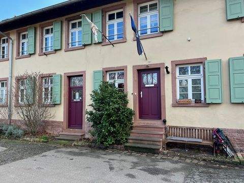 Mannheim Häuser, Mannheim Haus kaufen