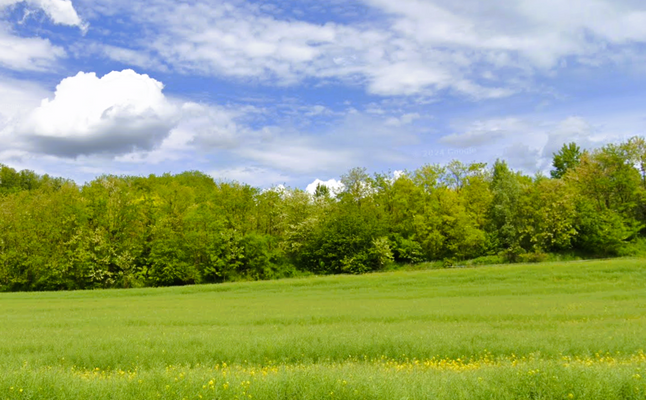 Acker und Wald