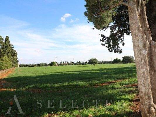 New brand Villa in construction between Inca and Llubi_01