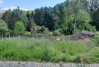 Baugrundstück Emmersweiler - Straßenansicht.jpg