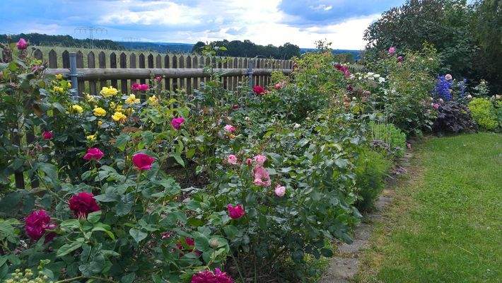 Blick von der Terrasse
