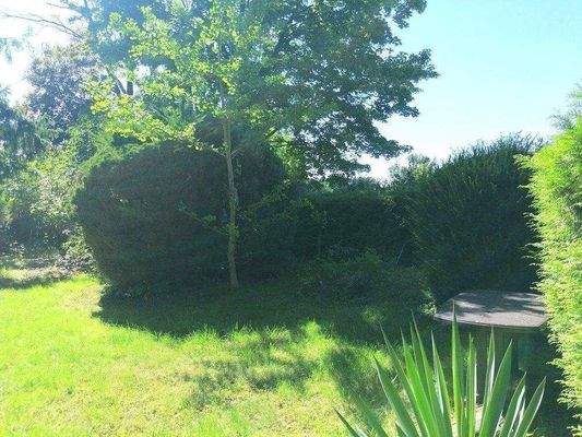 gewachsenes Grundstück