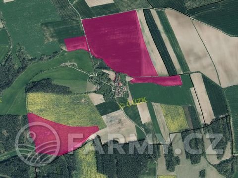 Nové Dvory u Mocerad Bauernhöfe, Landwirtschaft, Nové Dvory u Mocerad Forstwirtschaft