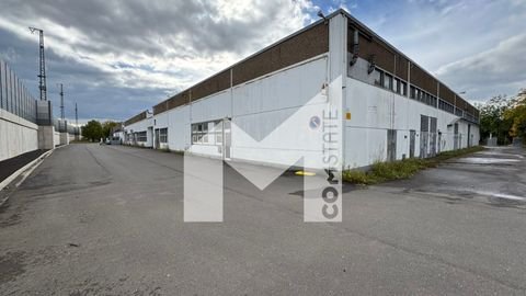Bochum Halle, Bochum Hallenfläche