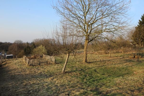 WEITERE BEREICHE DER PRIVATEN AUSSENANLAGEN