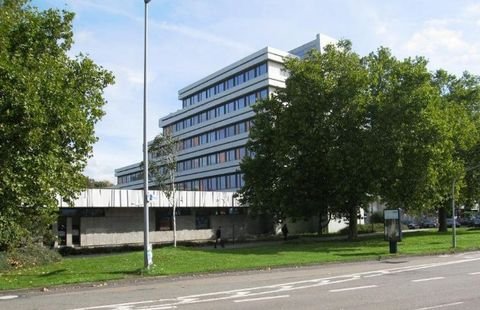 Heidelberg Halle, Heidelberg Hallenfläche