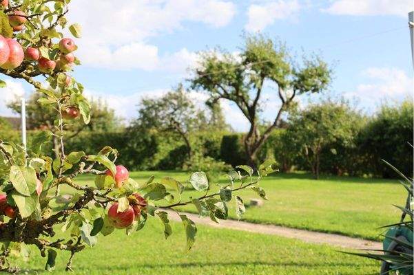 Impressionen vom Grundstück