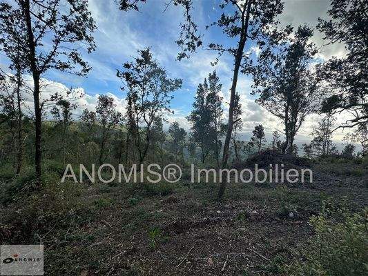 Grundstück 8 ha